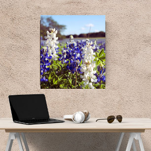 Blue & White Bluebonnet Print Texas Home Decor