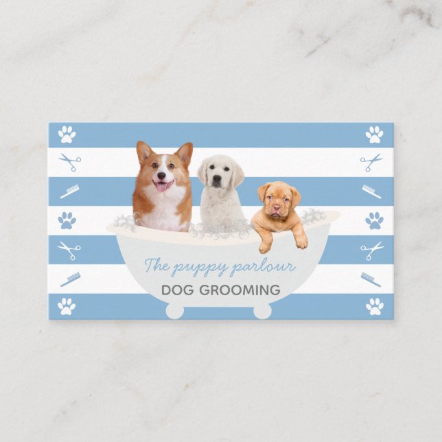 Blue white dogs bubble bath dog grooming service business card (Front)