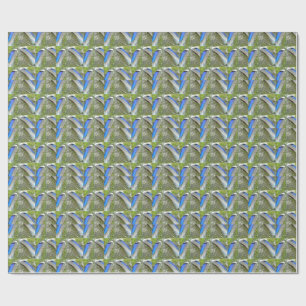 Blue White Duck Feathers, Animal, Bird Wrapping Paper