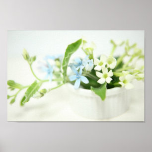 Blue & White flower. Poster