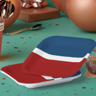 Blue White Red Colour Block Style Design Paper Plate
