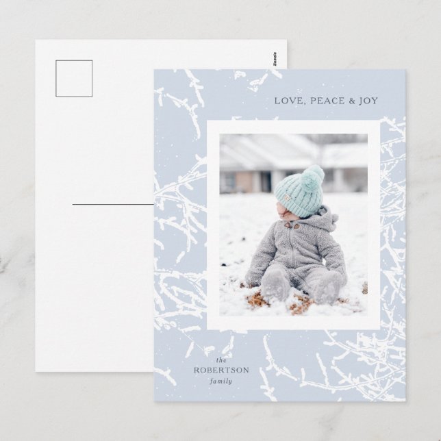 Blue & White Snowy Branches Holiday Photo Postcard (Front/Back)