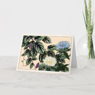 Blue & White Stokes Aster Botanical Art Card