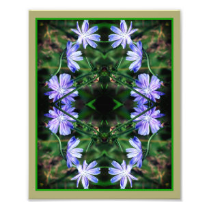 Blue Wild Chicory Flowers Mirror Abstract 8x10 Photo Print