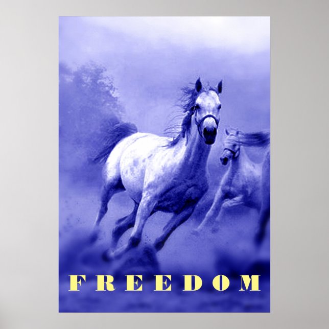 Blue Wild Horses Motivational Freedom Artwork Poster (Front)