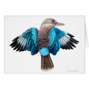 Blue Winged Kookaburra Card
