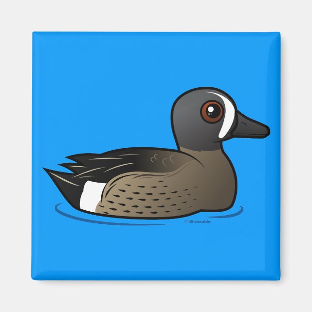 Blue-winged Teal Magnet (Front)