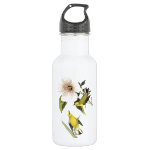 Blue-winged Warbler by Audubon 532 Ml Water Bottle