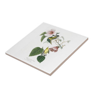 Blue-winged Yellow Warbler Audubon Birds America Tile