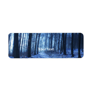 Blue Winter Landscape