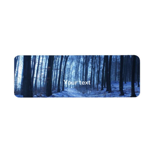 Blue Winter Landscape (Front)