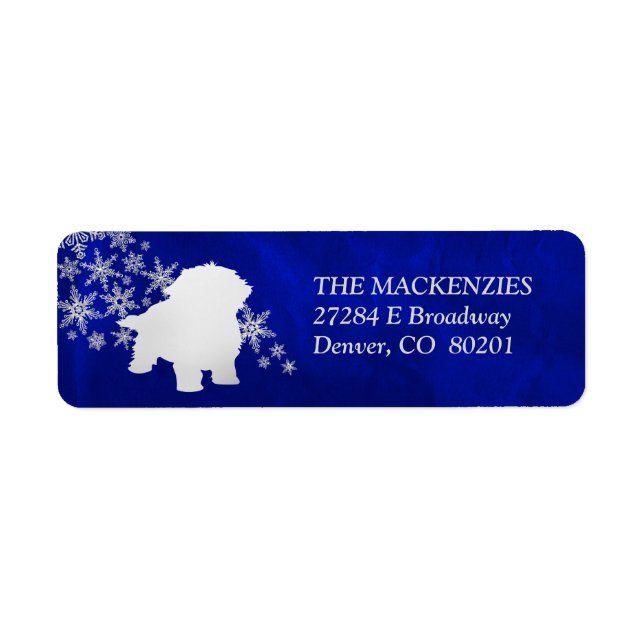 Blue Winter Maltese Return Address (Front)