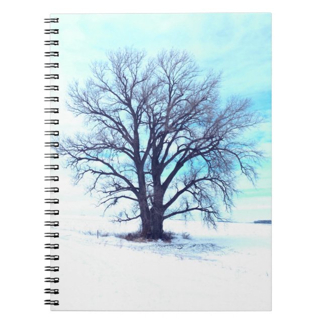 Blue Winter Notebook (Front)
