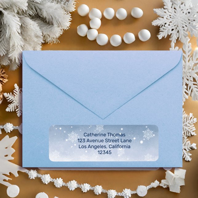 Blue Winter Wonderland Snowfall Christmas Wedding  (Creator Uploaded)