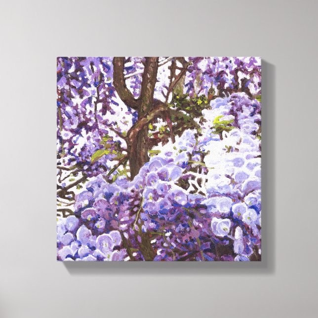 Blue wisteria 2011 canvas print (Front)