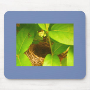 Blue Wrapped Hummingbird Nest Mouse Pad