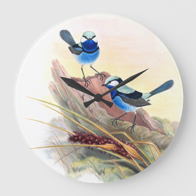Blue Wren Birds Wildlife Animals Flowers Large Clock (Front)