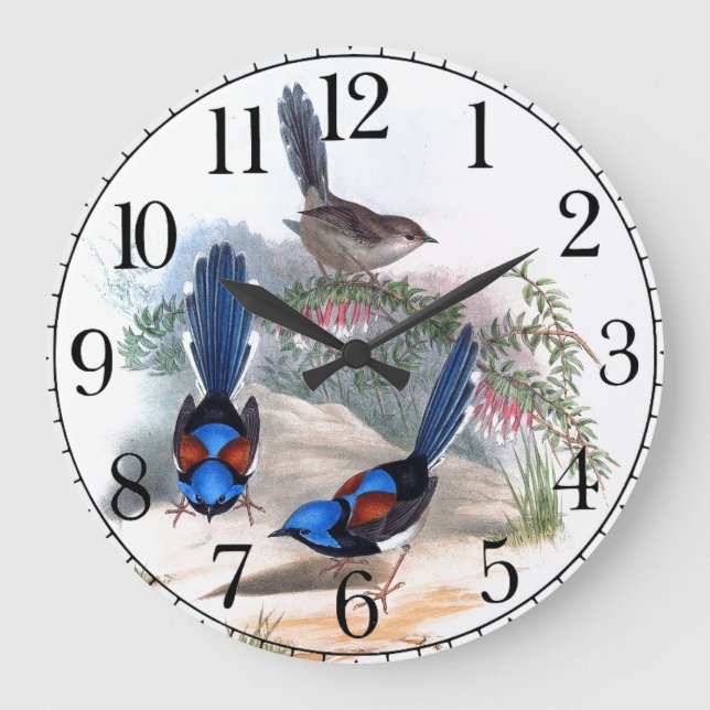 Blue Wren Birds Wildlife Animals Wall Clock (Front)