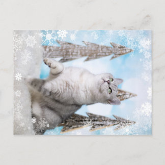 Blue XMAS 2018 Holiday Postcard