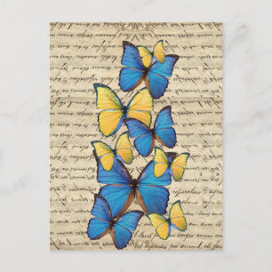 Blue & yellow butterrflies postcard