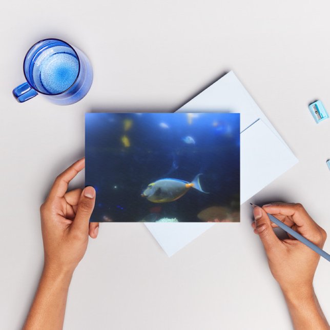 Blue -yellow tropical fish postcard (Creator Uploaded)