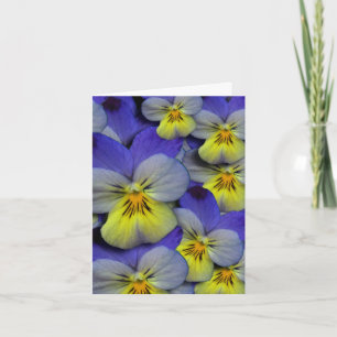 Blue & Yellow Wild Pansy Thank You Card