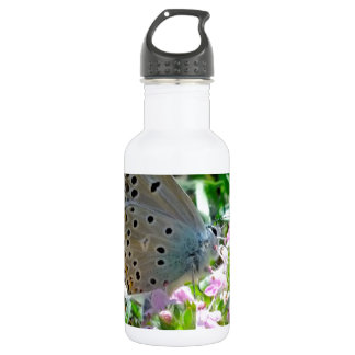 Blue Yellow With Black Spots Butterfly on Flowers 532 Ml Water Bottle