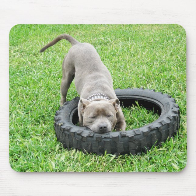 Blue Young Staffordshire Bull Terrier, Mouse Pad (Front)