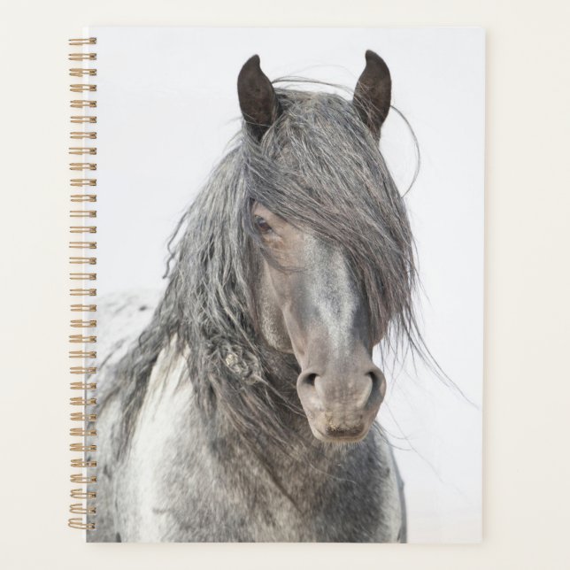 Blue Zeus Planner (Front)