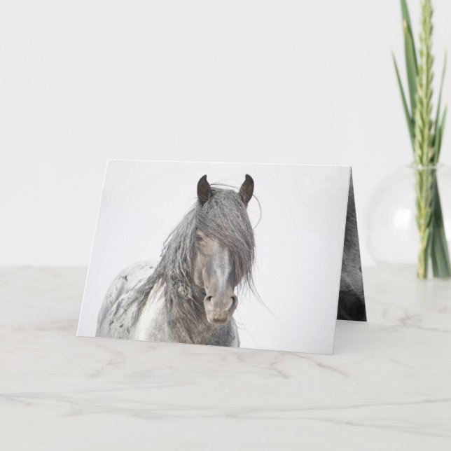 Blue Zeus Portrait Wild Horse Greeting Card (Front)