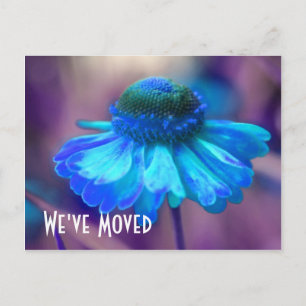 Blue Zinnia New Address Floral Postcard