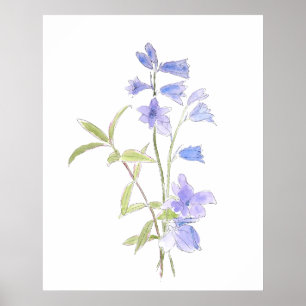 bluebell and violet in and watercolor poster