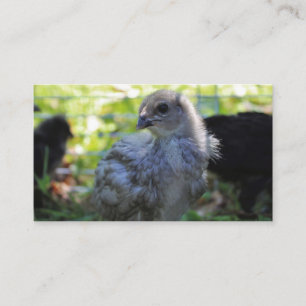 Bluebell Business Card