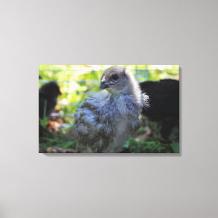Bluebell Canvas Print