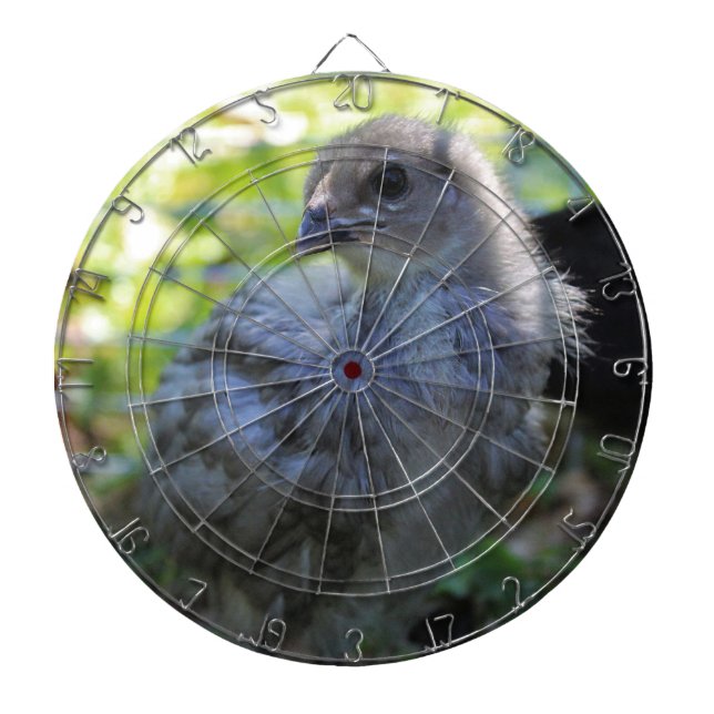 Bluebell Dartboard (Front)