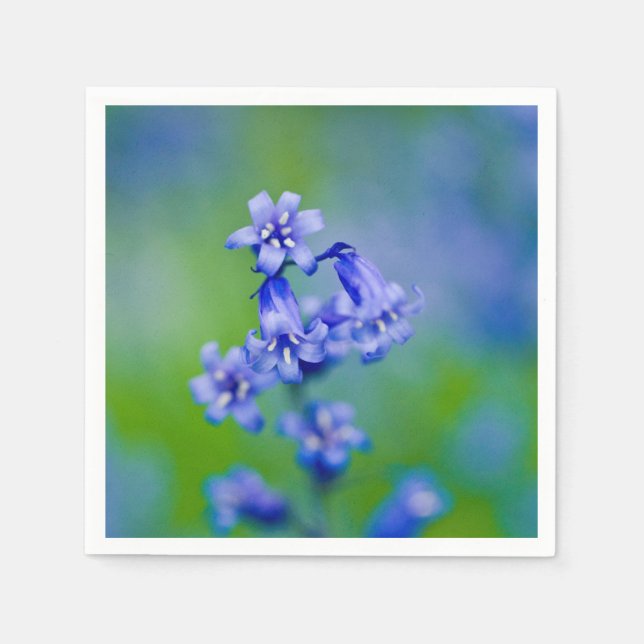Bluebell flower Cocktail paper napkins (Front)