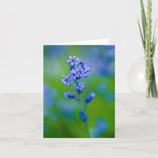 Bluebell flower Greeting card