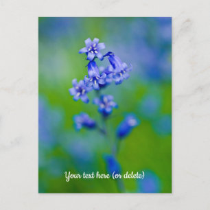 Bluebell flower Postcard