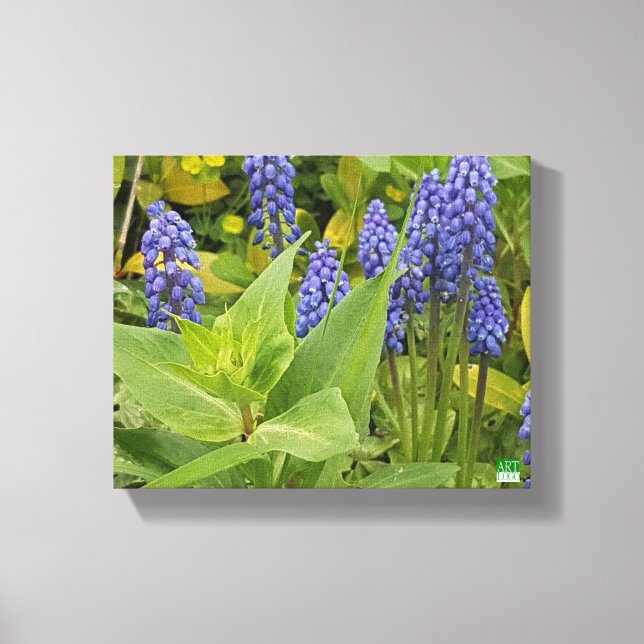 Bluebell Flowers Art Photo Print On Canvas (Front)