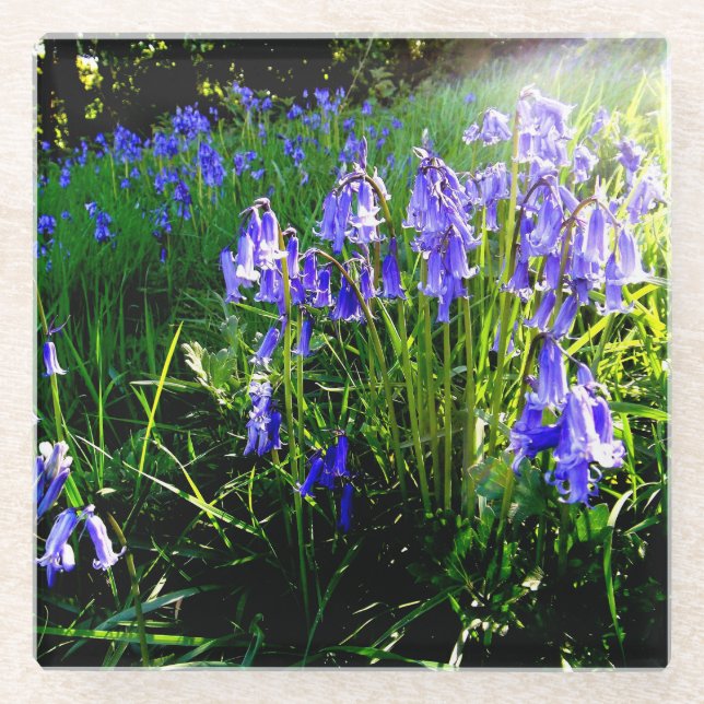Bluebell glass coaster (Front)