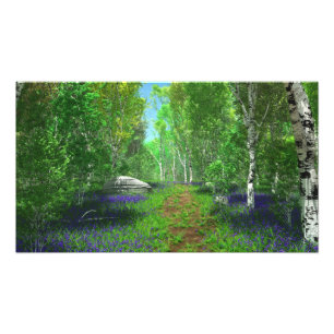 Bluebell Light Photo Print