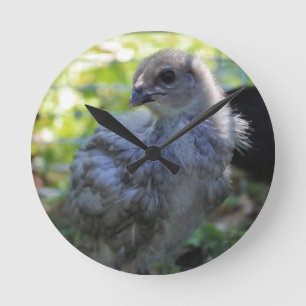 Bluebell Round Clock