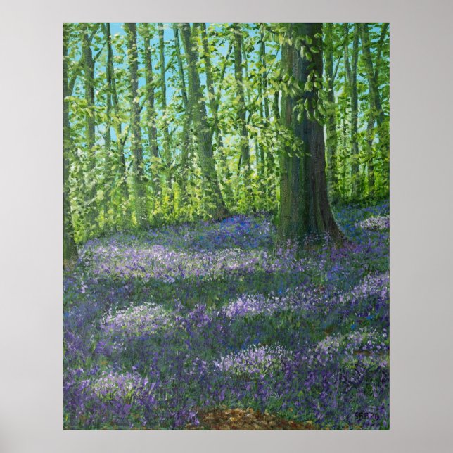 Bluebell Wood Poster (Front)
