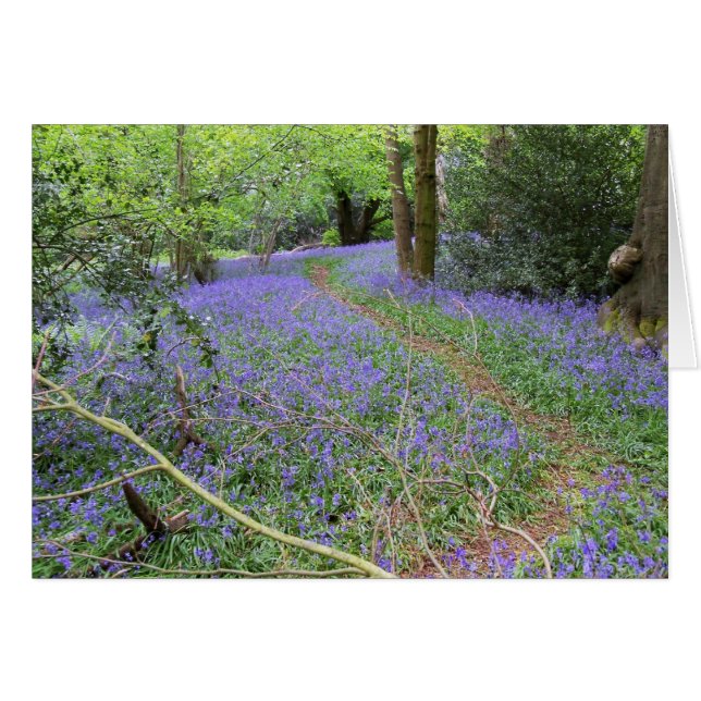 Bluebell woods (Front Horizontal)