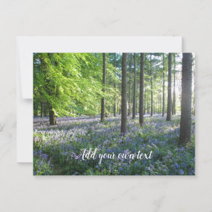 Bluebell Woods in Evening Sunshine - Personalised Postcard