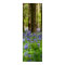 Bluebell Woods
