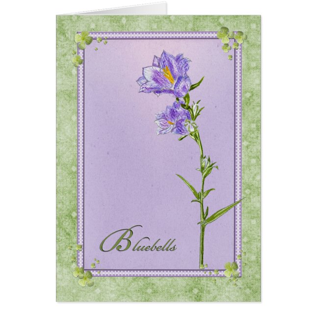 Bluebells (Front)