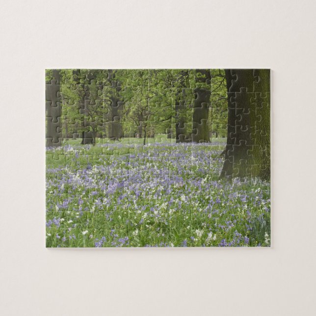 Bluebells and Oak Trees in Spring, Little Hagley Jigsaw Puzzle (Horizontal)