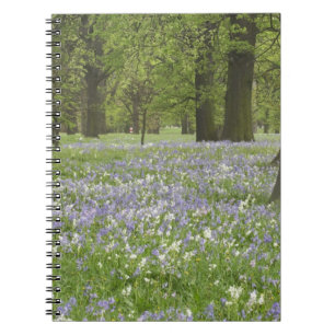 Bluebells and Oak Trees in Spring, Little Hagley Spiral Notebook