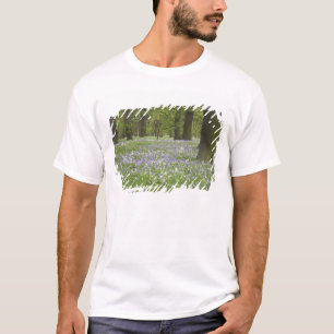 Bluebells and Oak Trees in Spring, Little Hagley T-Shirt